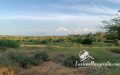 Terreno en venta. Playa El Yaque. Isla de Margarita.