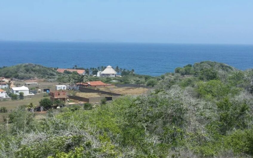 Terreno economico con vista al mar en Manantial de Guayamuri – Isla de Margarita