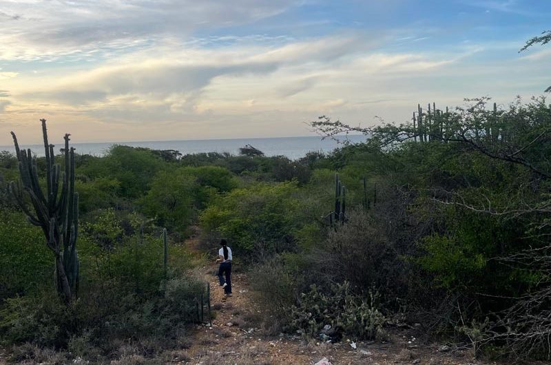Se venden 3 lotes de terreno frente al mar en Playa Taguantar – Isla de Margarita