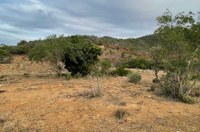 Se venden 3 lotes de terreno frente al mar en Playa Taguantar – Isla de Margarita