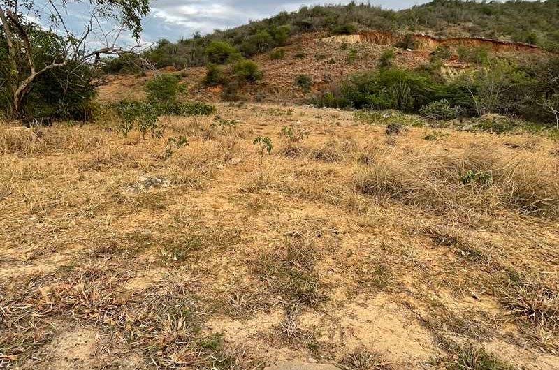 Se venden 3 lotes de terreno frente al mar en Playa Taguantar – Isla de Margarita