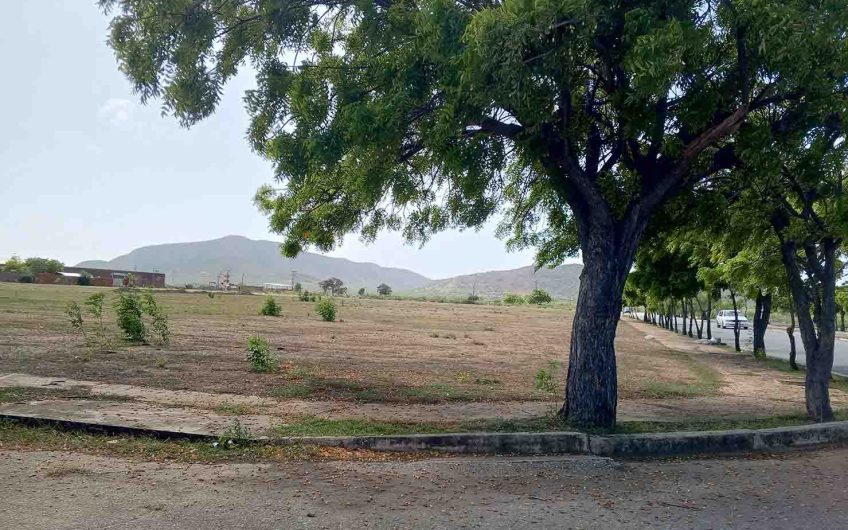 Se vende terreno en Juangriego avenida principal via Altagracia diagonal a Catalano