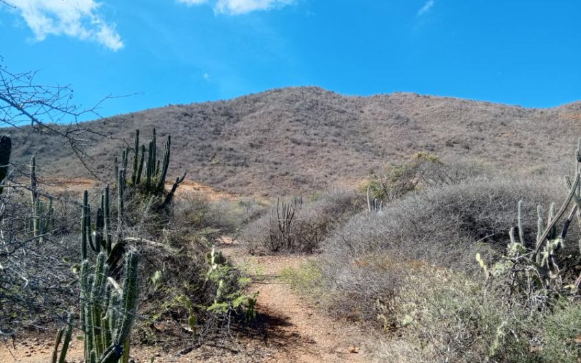 Venta de lotes de Terrenos Frente a Playa Taguantar – Juangriego – Isla Margarita