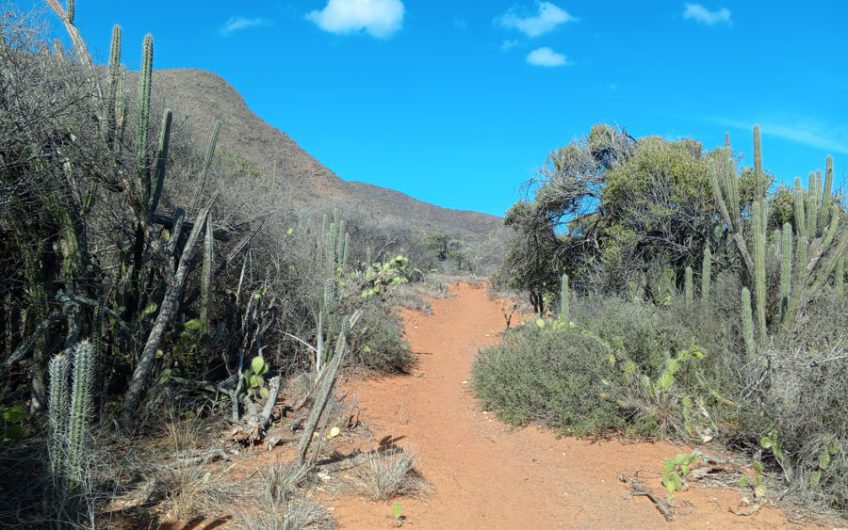 Venta de lotes de Terrenos Frente a Playa Taguantar – Juangriego – Isla Margarita